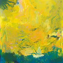 Joachim Badenhorst' Zero Years Kid - Geen grenzen (LP) - Discords.nl