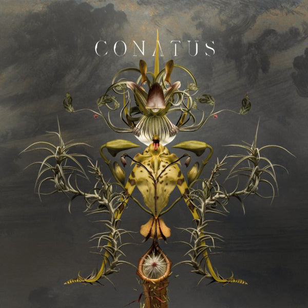 Joep Beving - Conatus (LP) - Discords.nl