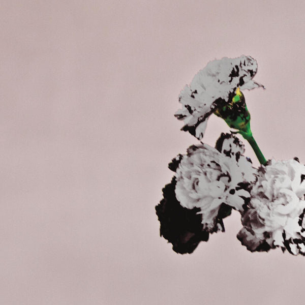 John Legend - Love in the future -special edition- (CD) - Discords.nl