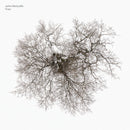 John Metcalfe - Tree (LP) - Discords.nl