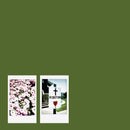 John Moreland - Visitor (LP) - Discords.nl