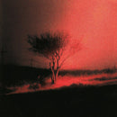 Joji - Piss in the wind (CD) - Discords.nl