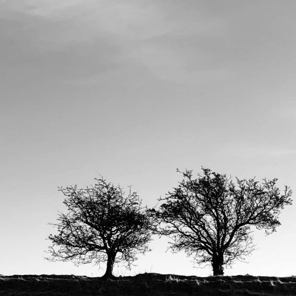 Jon Allen - A heightened sense of everything (LP) - Discords.nl