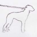Jonah Yano - Portrait of a dog (LP) - Discords.nl