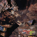Joseph Decosimo & Luke Ruchardson & Cleek Shrey - Beehive cathedral (CD)