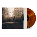 Josh Ritter - I believe in you, my honeydew (LP)