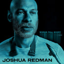 Joshua Redman - Words fall short (LP) - Discords.nl