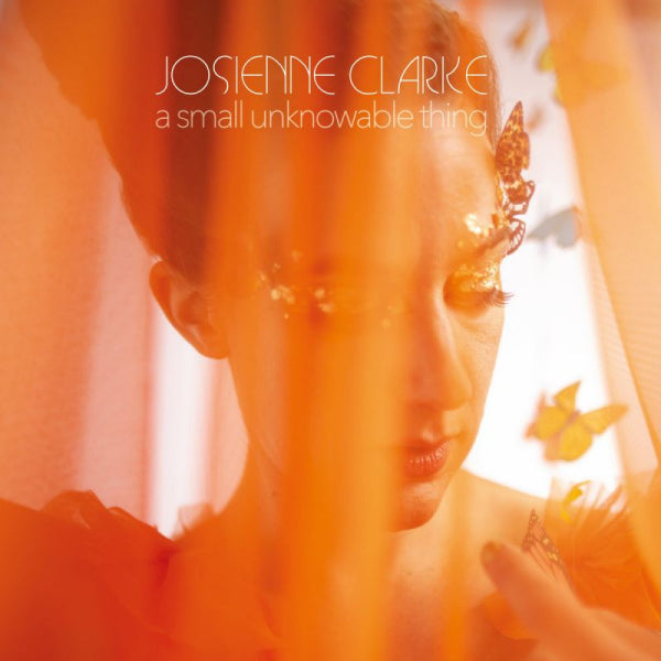 Josienne Clarke - A small unknowable thing (LP) - Discords.nl