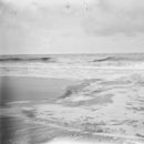 Juli Deak - Brisk (LP)