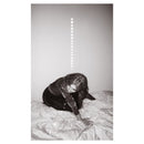 Julia Holter - Materia (CD)