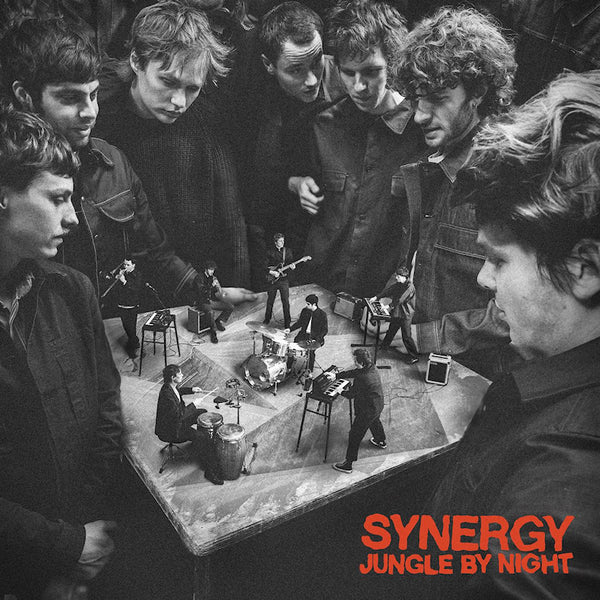 Jungle By Night - Synergy (LP)