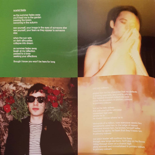 Horrors, The - Primary Colours (LP) - Discords.nl