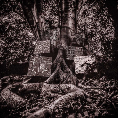 Kamasi Washington - Harmony of difference (LP) - Discords.nl