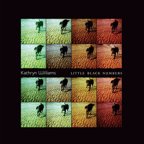Kathryn Williams - Little black numbers (LP) - Discords.nl