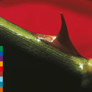 Nusrat Fateh Ali Khan & Michael Brook - Night song (LP) - Discords.nl