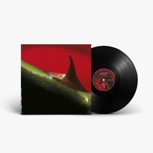 Nusrat Fateh Ali Khan & Michael Brook - Night song (LP) - Discords.nl