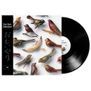 Kishi Bashi - Omoiyari (LP) - Discords.nl