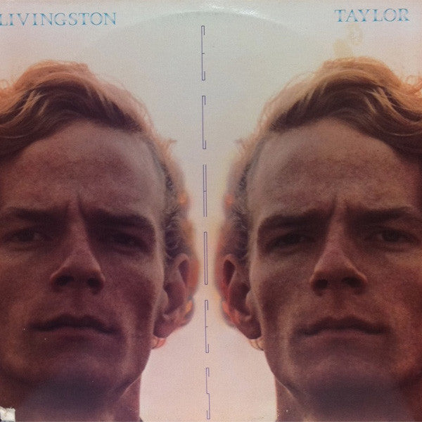 Livingston Taylor - Echoes (LP Tweedehands)