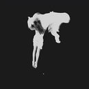 Kaleida - Tear the roots (CD) - Discords.nl