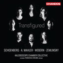 Kaleidoscope Chamber Collective - Transfigured (CD) - Discords.nl