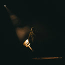 Kameron Marlowe - Keepin' the lights on (CD) - Discords.nl