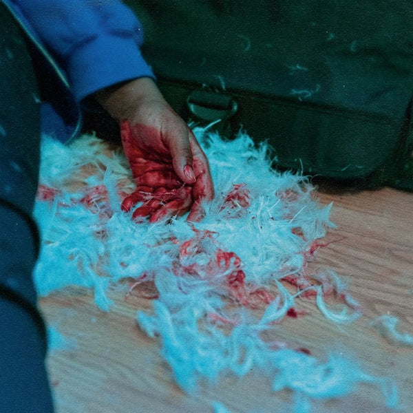 Kaonashi - Dear lemon house, you ruined me: senior year (CD) - Discords.nl