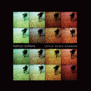 Kathryn Williams - Little black numbers (CD)