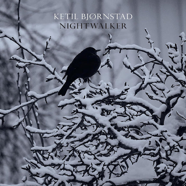 Ketil Bjornstad - Nightwalker (CD) - Discords.nl