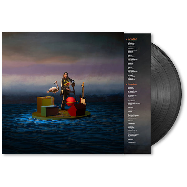 Kim Deal - Nobody loves you more (LP) - Discords.nl