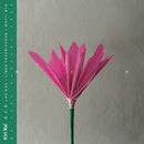 Kiri Ra! - Nen (CD)