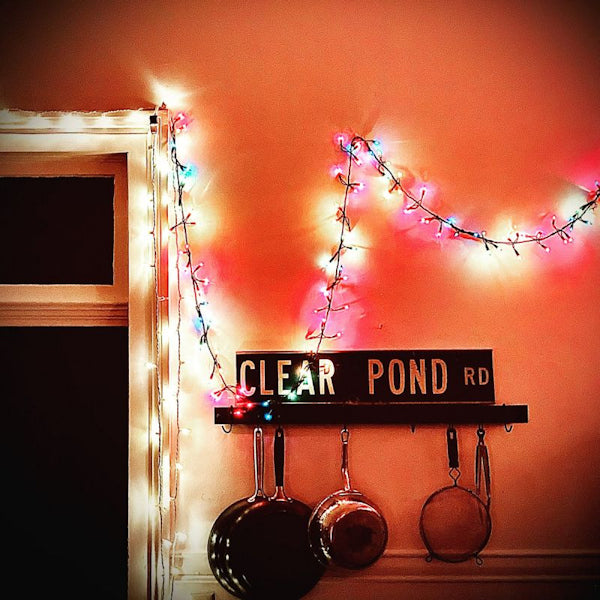 Kristin Hersh - Clear pond road (CD) - Discords.nl