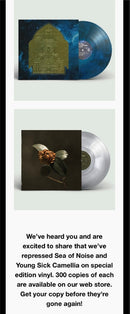 St. Paul & The Broken Bones - Sea Of Noise (LP)