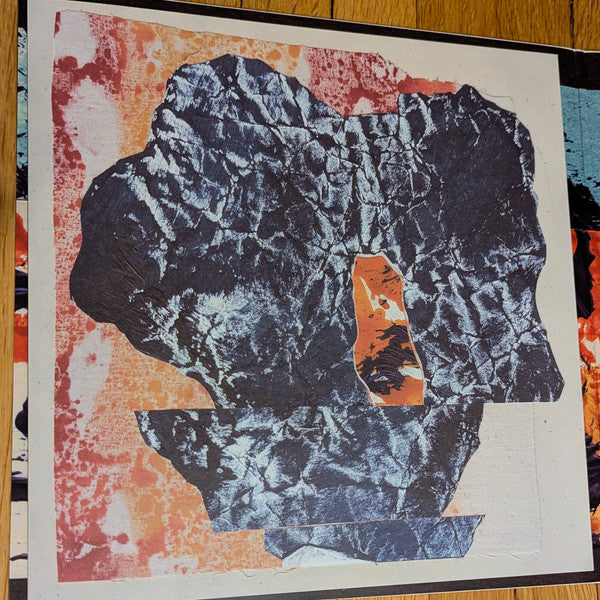 Grizzly Bear - Painted Ruins (LP)