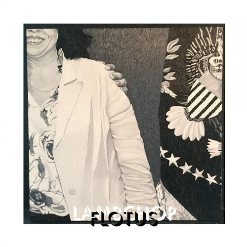 Lambchop - Flotus (LP) - Discords.nl