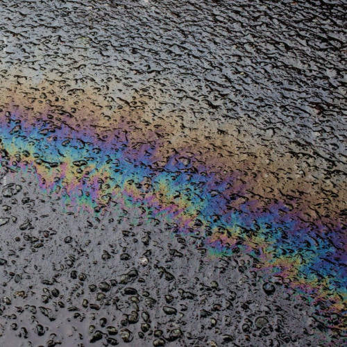 Laurel Halo - In situ (CD) - Discords.nl