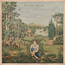 Sam Lee - Old wow (LP) - Discords.nl