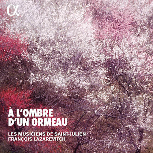 Les Musiciens De Saint-julien - A l'ombre d'un ormeau (CD) - Discords.nl