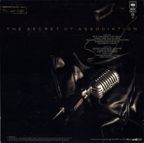 Paul Young - The Secret Of Association (LP Tweedehands) - Discords.nl
