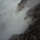 Like Rats - Ii (LP) - Discords.nl