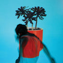 Local Natives - Sunlit youth (LP) - Discords.nl