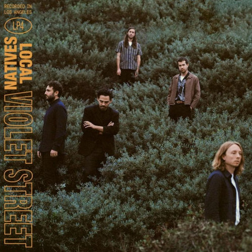 Local Natives - Violet street (LP) - Discords.nl