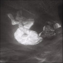 Alice Phoebe Lou - Glow (CD) - Discords.nl