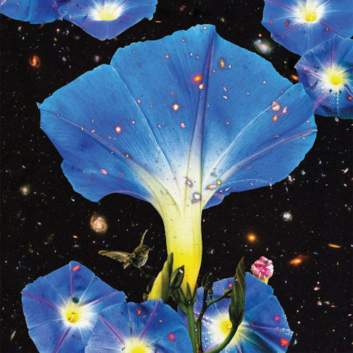 Sarah Louise - Nighttime birds and morning stars (LP) - Discords.nl