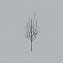 Low - Ones and sixes (CD) - Discords.nl