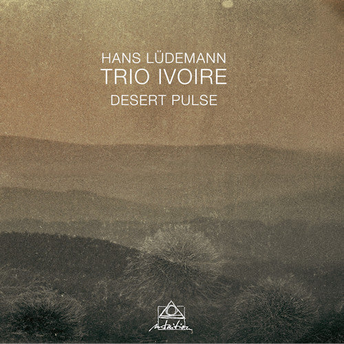 Hans Ludemann & Trio Ivoire - Desert pulse (CD) - Discords.nl