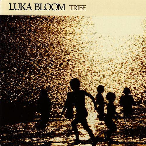 Luka Bloom - Tribe (LP)