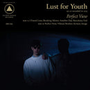 Lust For Youth - Perfect view (CD) - Discords.nl