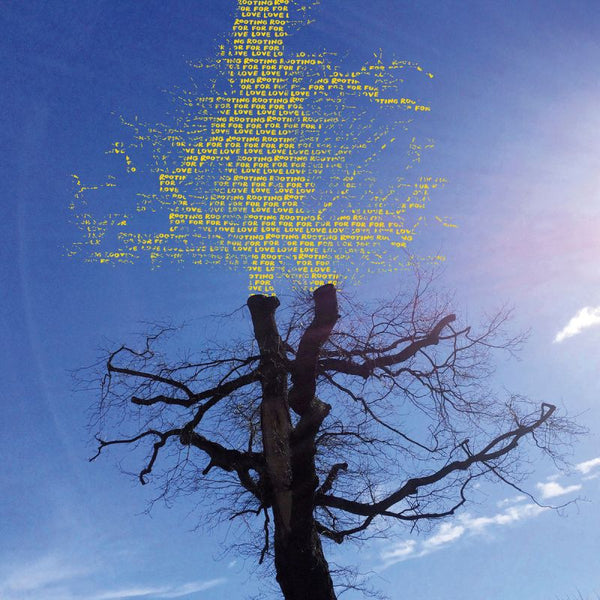 Laetitia Sadier - Rooting for love (CD) - Discords.nl