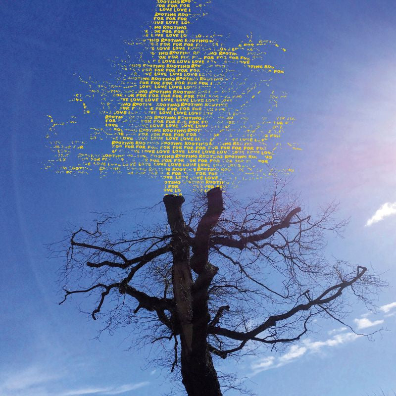 Laetitia Sadier - Rooting for love (CD) - Discords.nl
