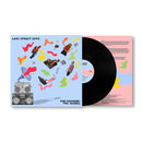 Lake Street Dive - Fun Machine: the Sequel (LP) - Discords.nl